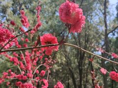 -千佛山风景名胜区-历山院