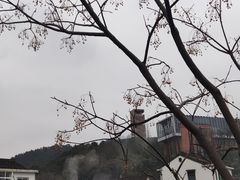 -东钱湖小普陀景区