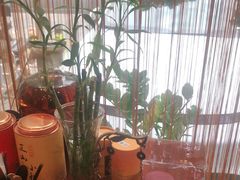 -手功王养生·足疗按摩·SPA·采耳(天府路店)