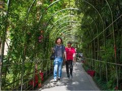 -西安曲江寒窑遗址公园