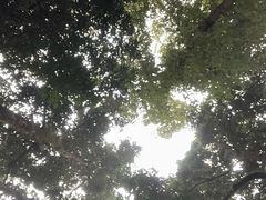 -重庆彩云湖湿地公园