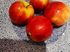 -阿庄新豫菜(航海东路店)