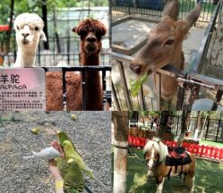 -萌宠亲子动物乐园(槐房万达店)