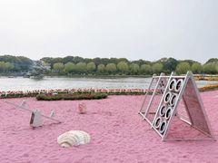 -上海鲜花港