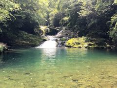 -黎坪国家森林公园