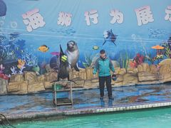 -合肥野生动物园
