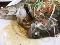 -肥弟大排档(汕樟路店)