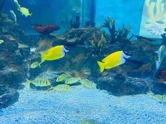 -常州海昌海洋探索馆