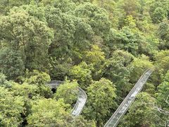 -越王山风景区