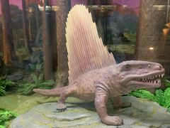 -国家自然博物馆