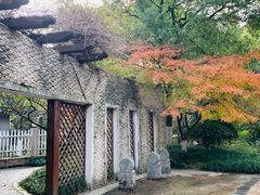 -杭州植物园