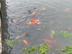 -和县香泉温泉度假村