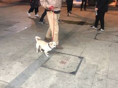 -好利来(建筑大学店)