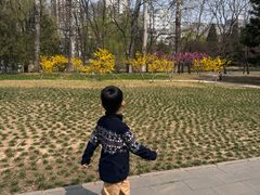 -元大都城垣遗址公园