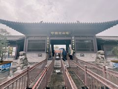 -赵州桥景区