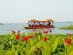 -丁香湖公园