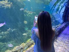 -华夏文旅西安度假区