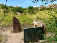 -乌里雅斯太山