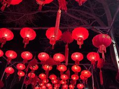 -青龙湖公园
