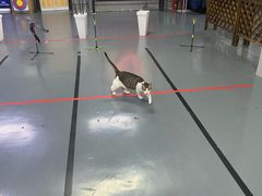 -蓝天射箭馆·专业射箭运动(诚丰广场店)