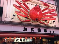 -蟹道乐(道顿堀本店)