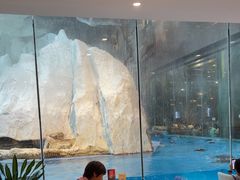 -帝企鹅自助餐厅•儿童岛•真企鹅(长隆企鹅酒店)