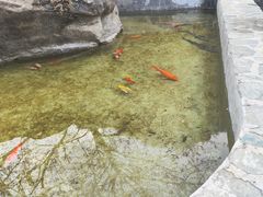-北京密云天门山风景区