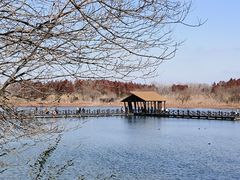 -溱湖国家湿地公园