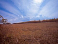 -塞罕坝国家级自然保护区