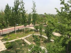 -武清南湖绿博园