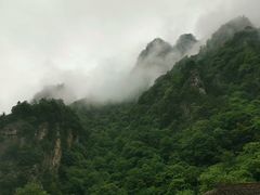 -青峰峡国家森林公园