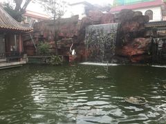 -碧江金楼