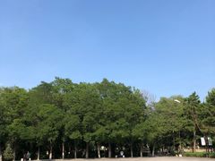-青城公园