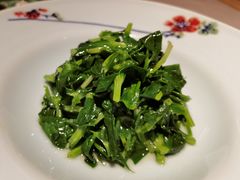 清炒豌豆尖儿-晟永興烤鸭店(五道口店)