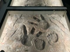 -湖南省地质博物馆