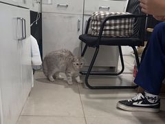 -佳雯宠物医院·皮肤科·内外科(春晓路分院)