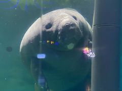 -泉城欧乐堡海洋极地世界