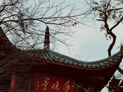 -岳麓山风景名胜区