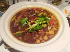 -玉玲珑(陆家嘴店)