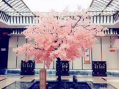 -添赐温泉馆(上南路店)