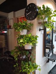 -AFA Hair studio·女士发型设计