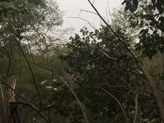 -紫金山天文台