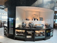 -虹桥机场国航贵宾室v8