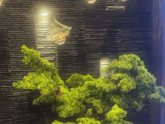 -上足·影院足道·SPA(红岭店)
