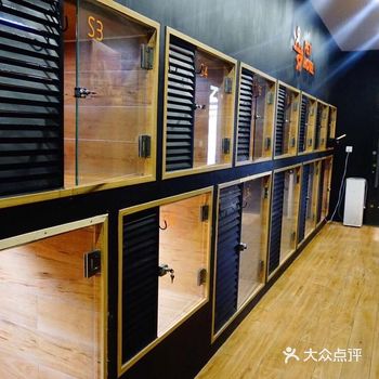 高品质的宠物酒店，铲屎官可以说走就走了