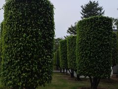 -厦门园林博览苑