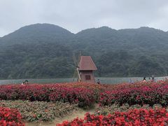 -广州市石门国家森林公园