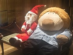 -深圳星河丽思卡尔顿酒店