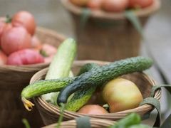 -亲兄弟真人CS团建拓展基地