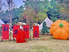 -云栖山谷野奢营地